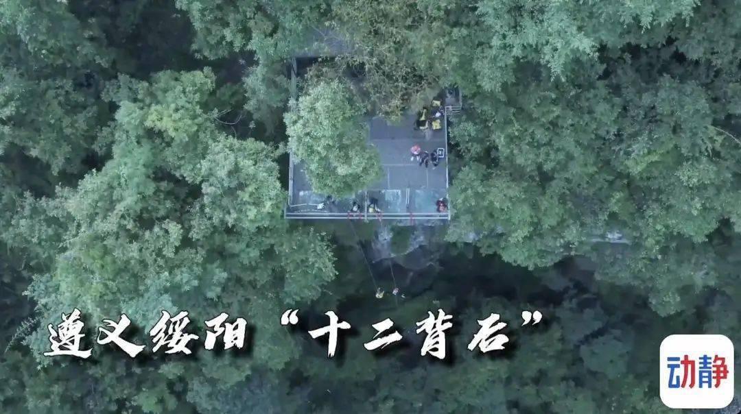 清凉夏日冰淇淋