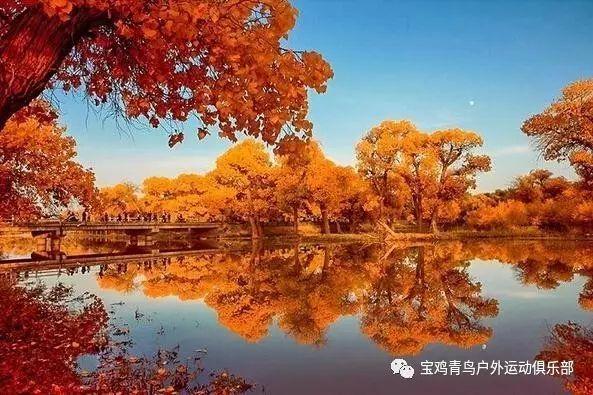 室友的矛盾