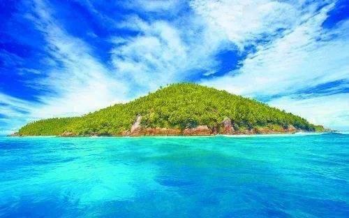 燃烧吧大脑免广告最新版