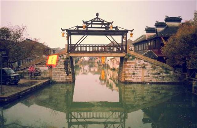 白孔雀救援